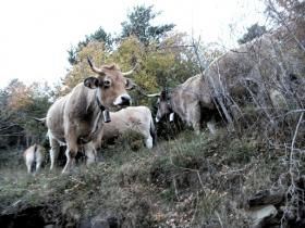 photo coins arrondis